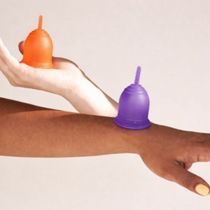 besukhi home page template