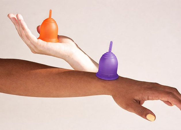 besukhi home page template